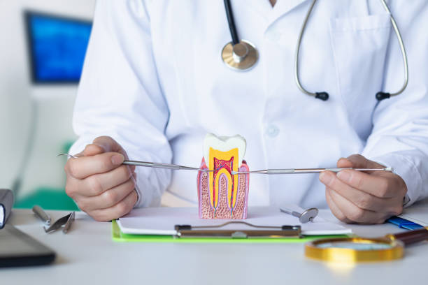 Best Emergency Treatment for Toothache in Medford, WI